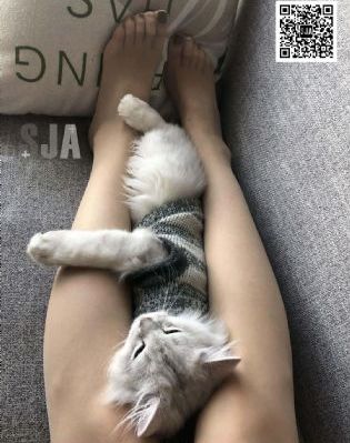 瑜伽教练伦理片_高清完整在线观看