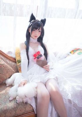 欧美大片视频免费看_1080免费观看